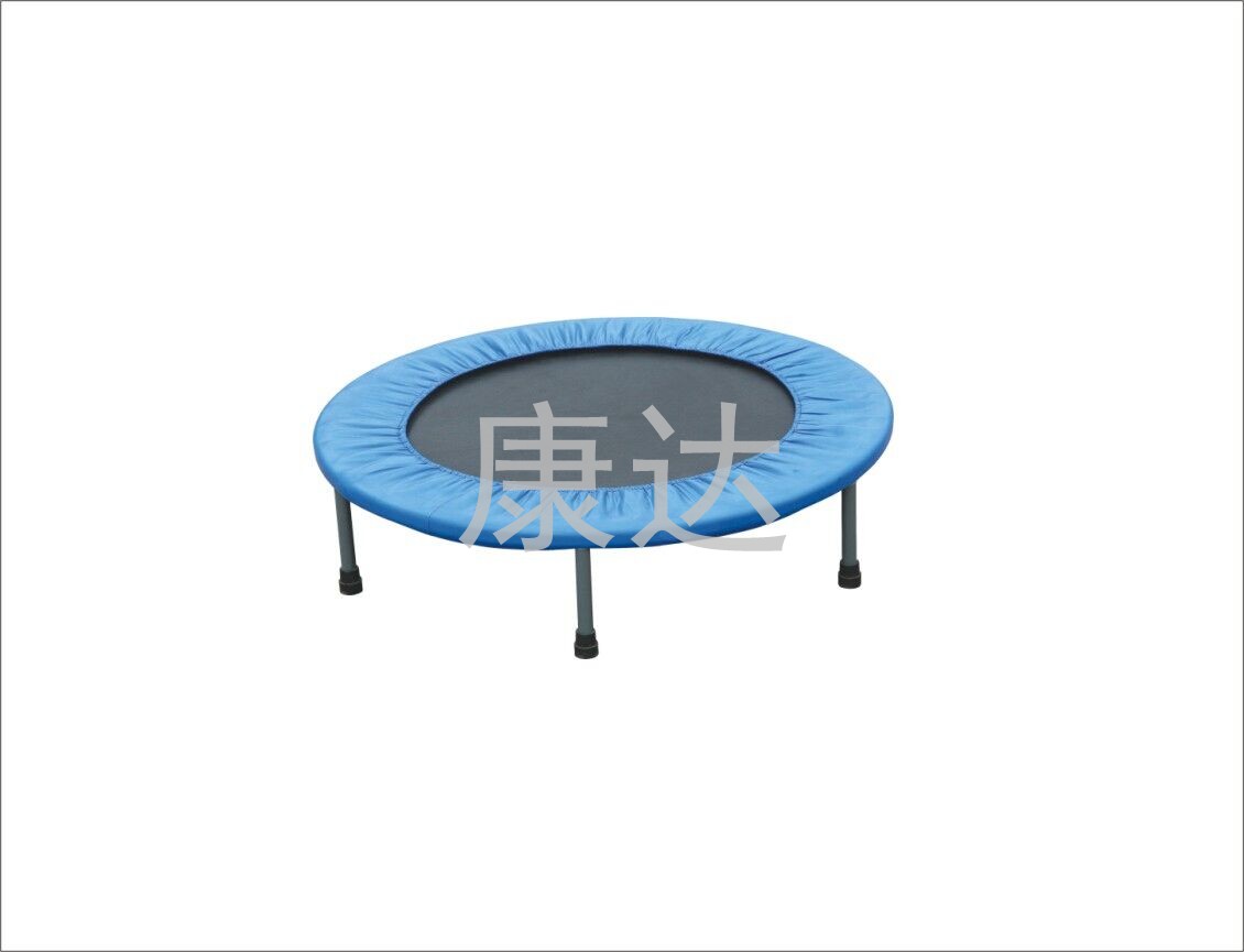 Children bouncing bed (with handrails)